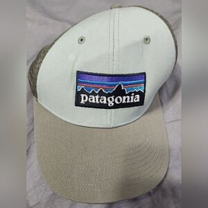Patagonia P-6 Logo LoPro Trucker Hat